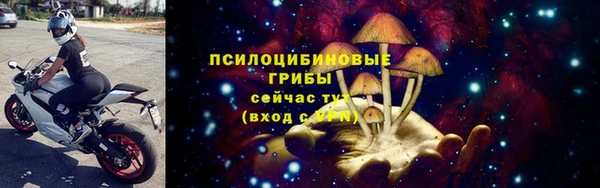 гашик Володарск