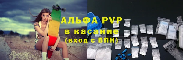 гашик Володарск