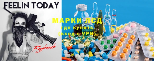 гашик Володарск