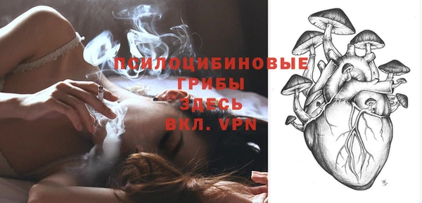 гашик Володарск